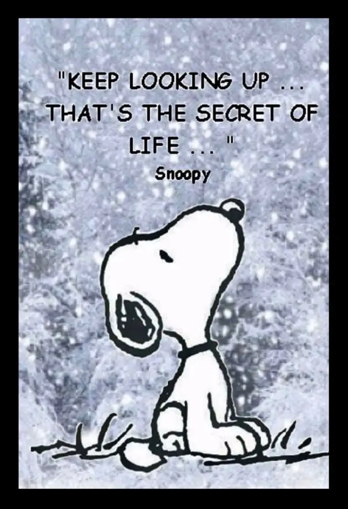 Keep looking up snoopy quote