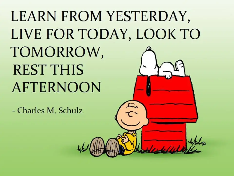 Learn from yesterday snoopy quote