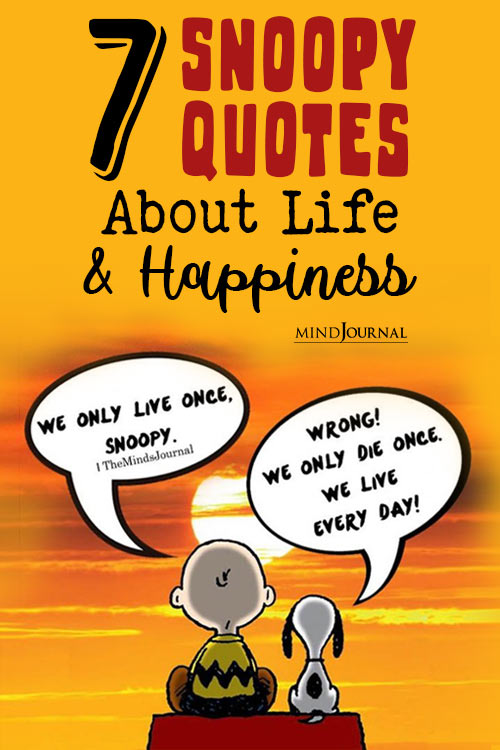 Snoopy Quotes Help You Regain Positive Outlook In Life pin