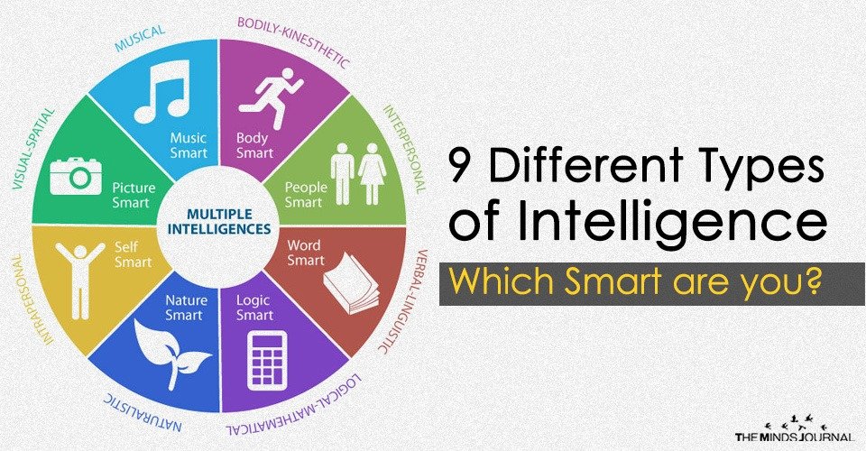 The 9 Different Types of Intelligence - Which Smart are you ?