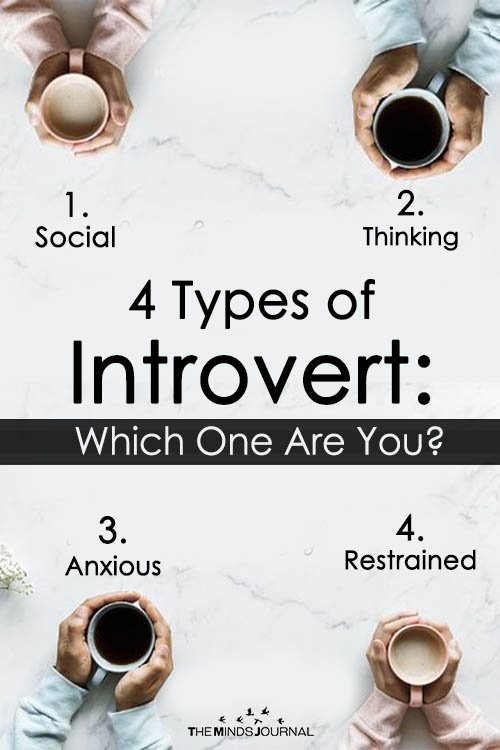4 Types of Introvert Which One Are You