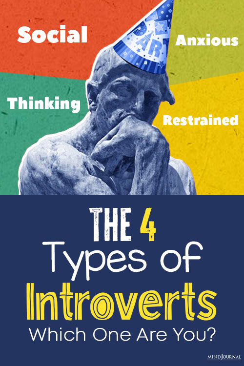 Introverts Types Which One Are You
