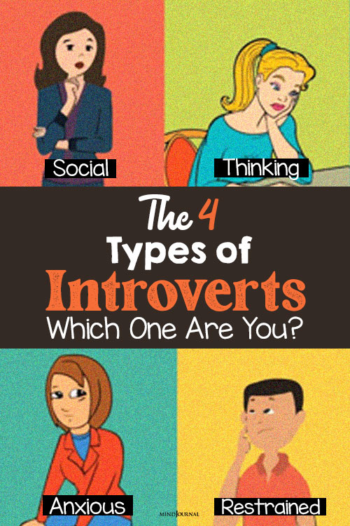 Types of Introverts Which One Are You pin