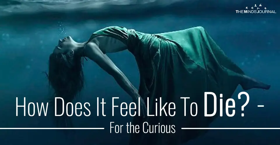How Does It Feel Like To Die? – For the Curious