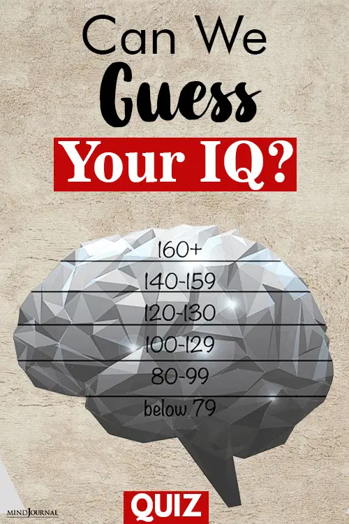 Guess Your IQ pin
