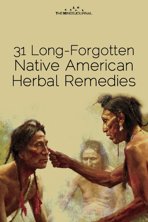31 Long-Forgotten Native American Herbal Remedies For Illnesses