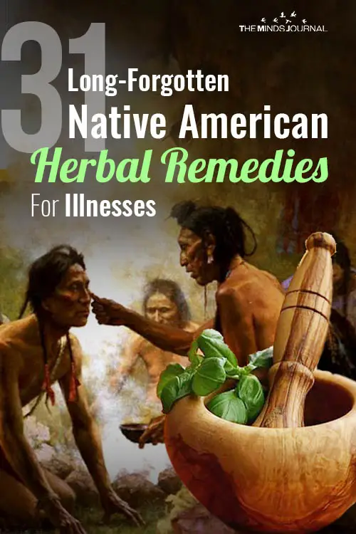 31 Long-Forgotten Native American Herbal Remedies For Illnesses pin