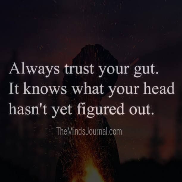 Always trust your Gut