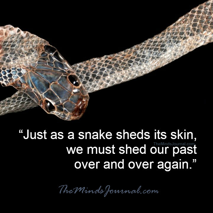 Just as a snake sheds it's skin