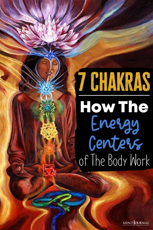 Chakras The Energy Centers of The Body pin