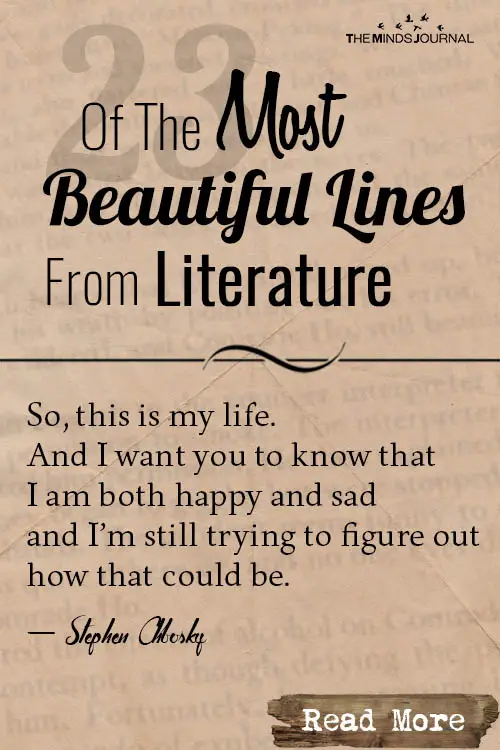 Most Beautiful Lines From Literature pin