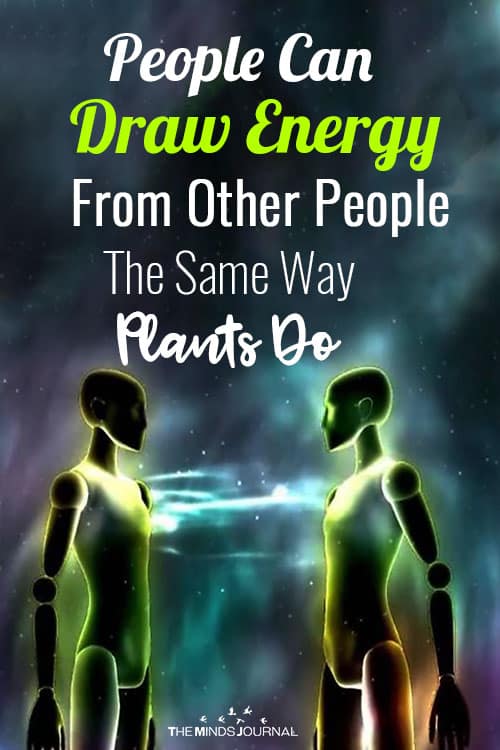 People Draw Energy From Other People Like Plants Do 