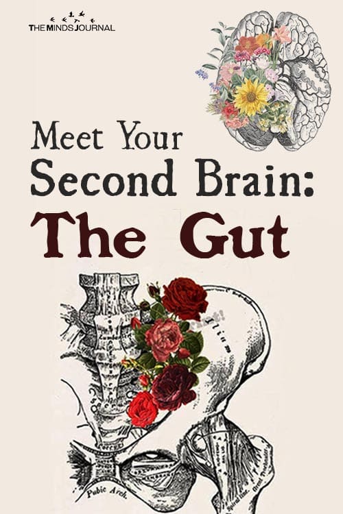 Meet Your Second Brain The Gut pin