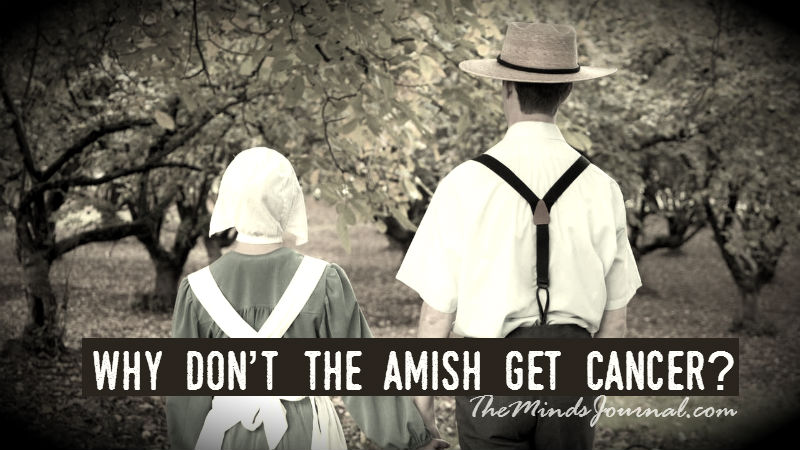 Why Don’t The Amish Get Cancer?