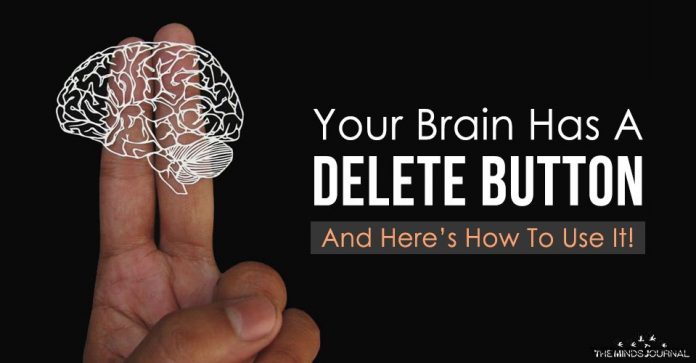Your Brain Has A DELETE Button And Here’s How To Use It