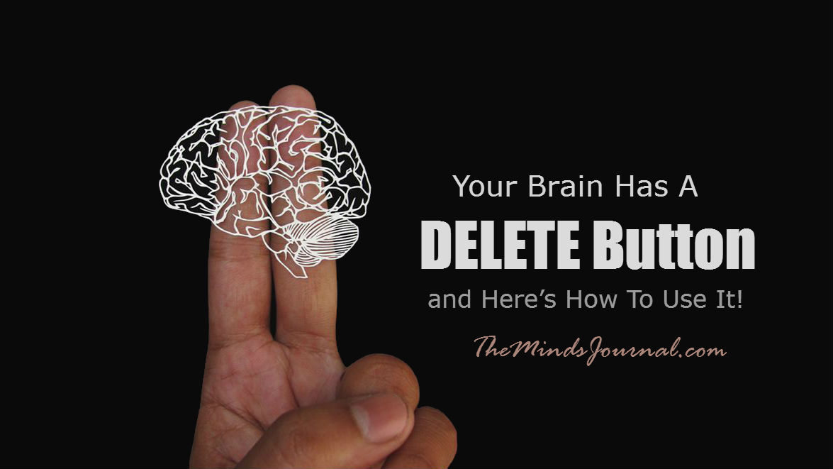 Your Brain Has A DELETE Button And Here’s How To Use It!