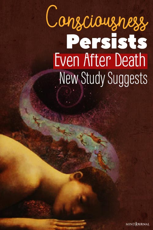 Consciousness Persists Even After Death pin