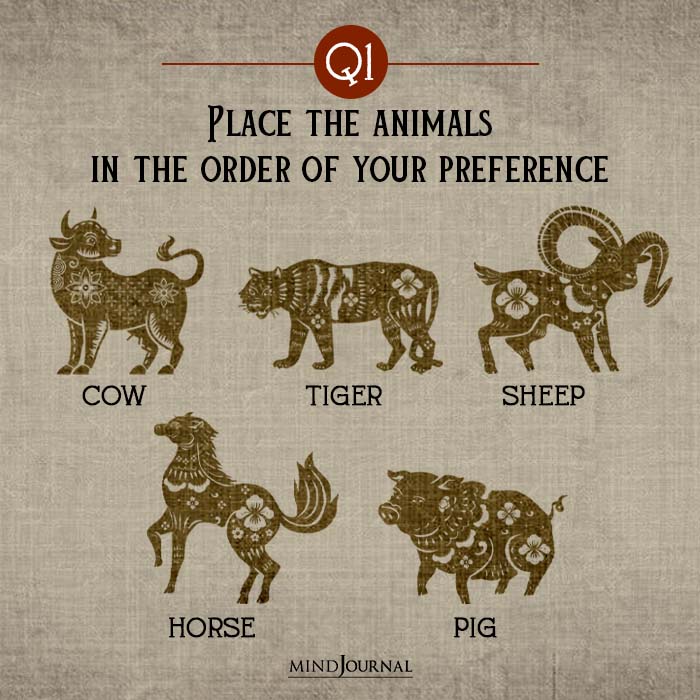 Place animals in order of your preference