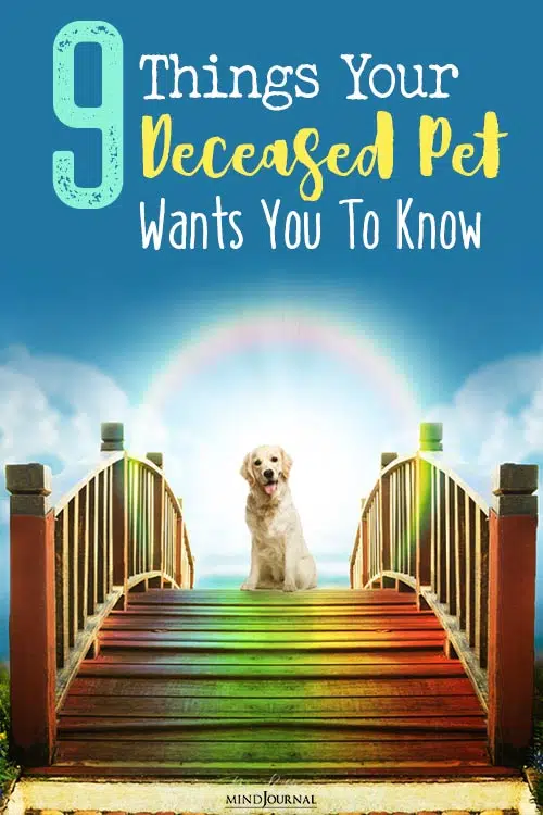 Things Deceased Pet Wants You To Know pin