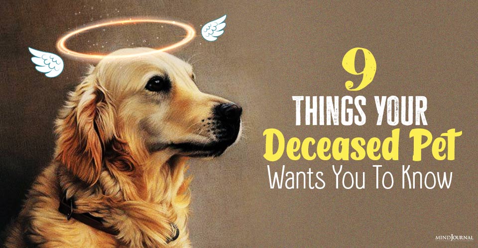 Things Your Deceased Pet Wants You To Know