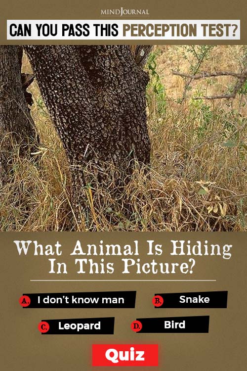 what animal is hiding perception test