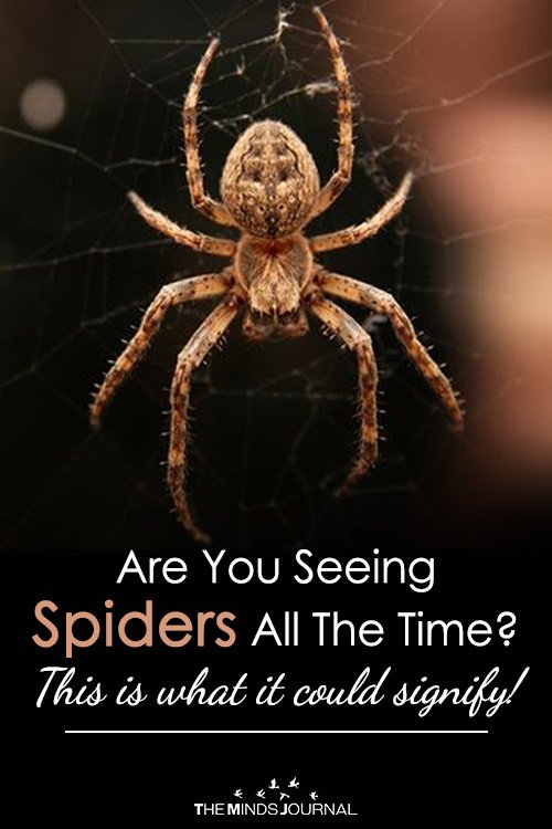 Are You Seeing Spiders All The Time This is what it could signify!
