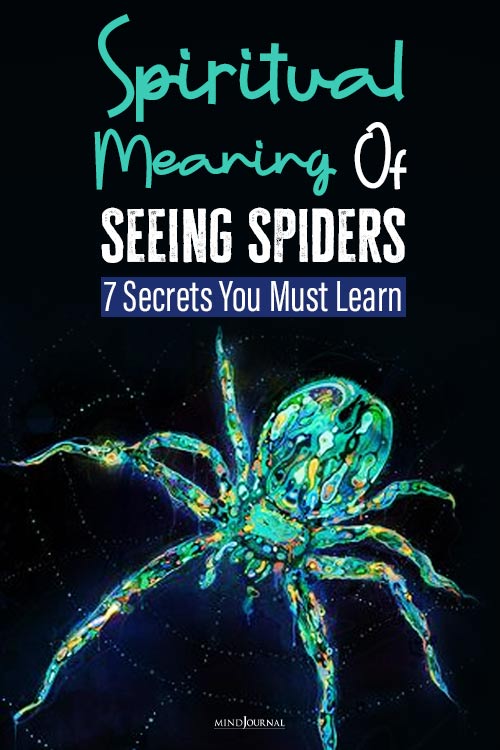 Deep Spiritual Meanings Seeing Spiders often pin