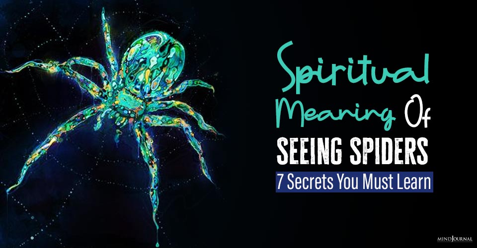 Deep Spiritual Meanings Seeing Spiders