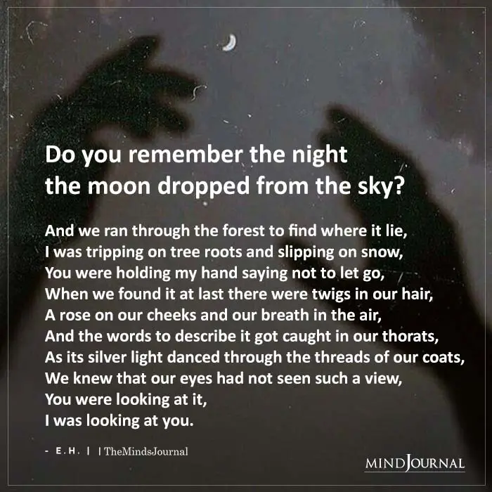 Remember Night The Moon Dropped From Sky