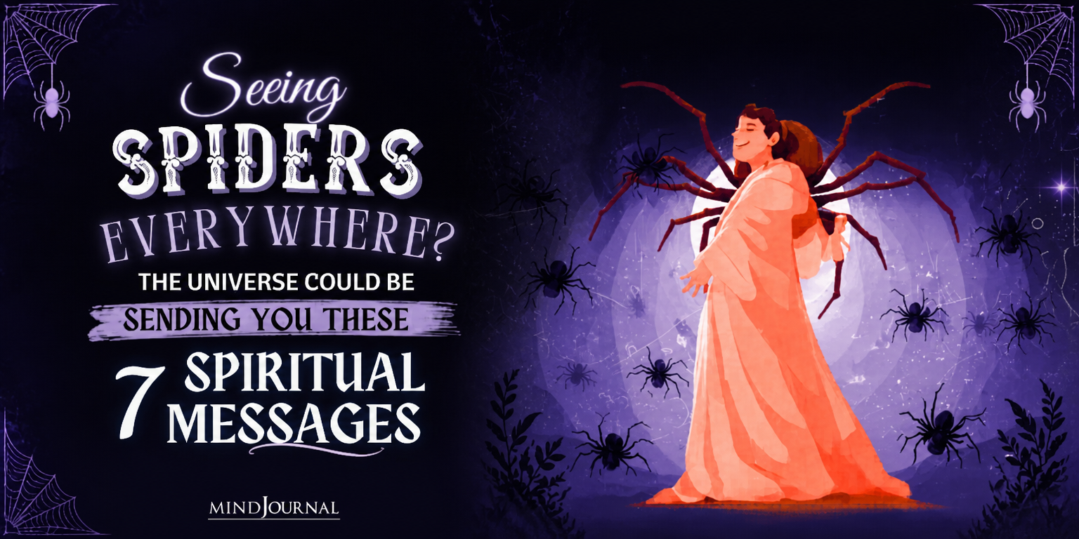Seeing Spiders Everywhere? The Universe Could Be Sending You These 7 Spiritual Messages