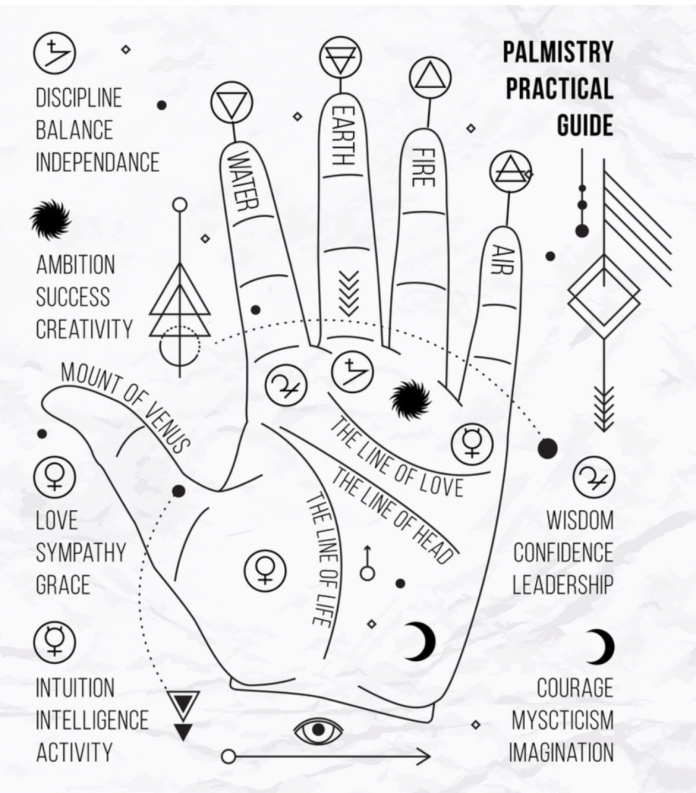 Palm Reading: Find How Your Hand Shape Reveals Your Personality