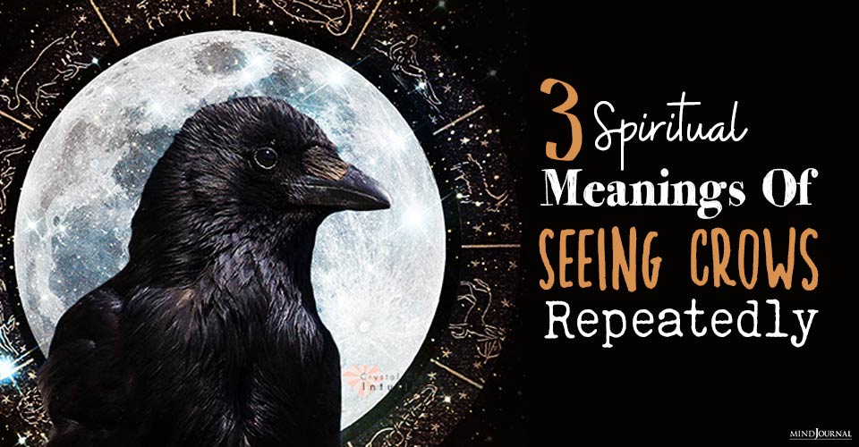 Spiritual Meanings Seeing Crows Repeatedly