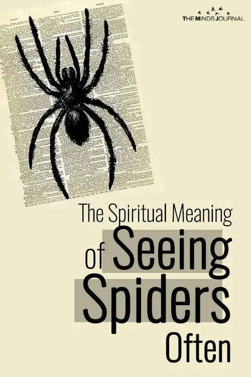 The Spiritual Meaning of Seeing A Spider Often
