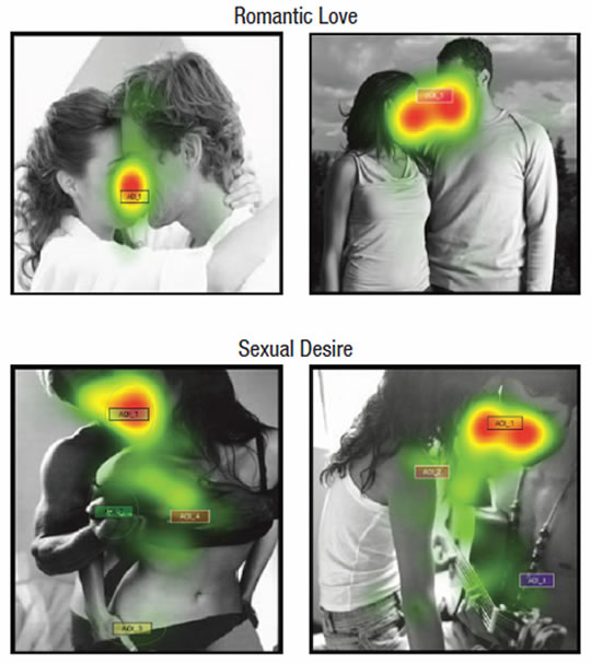 eye movement tracking shows the feelings of love and lust