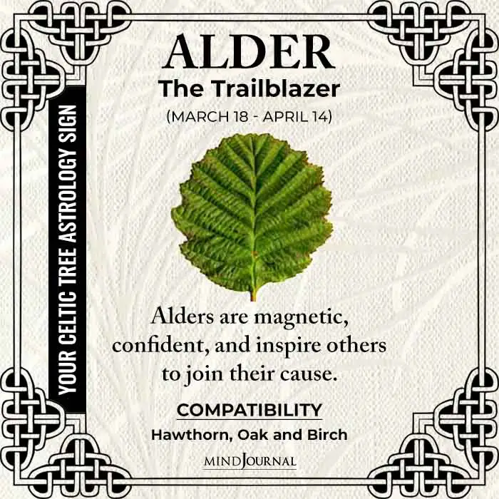 Alder The Trailblazer