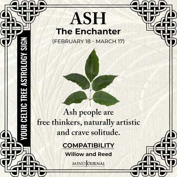 Ash The Enchanter