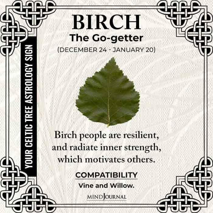 Birch The Go getter