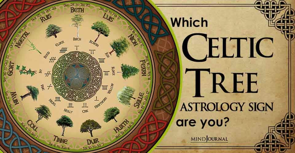 Celtic Tree Astrology Sign says About You