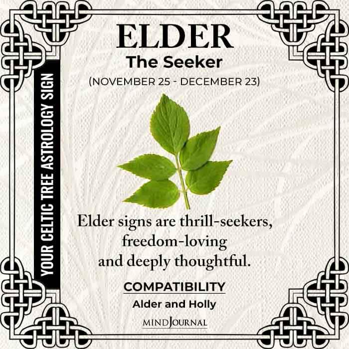 Elder The Seeker