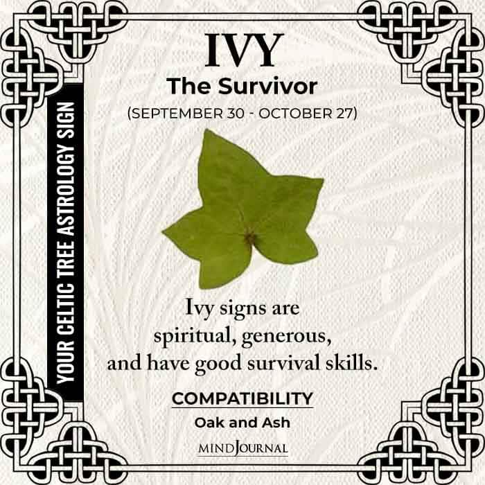 Ivy The Survivor