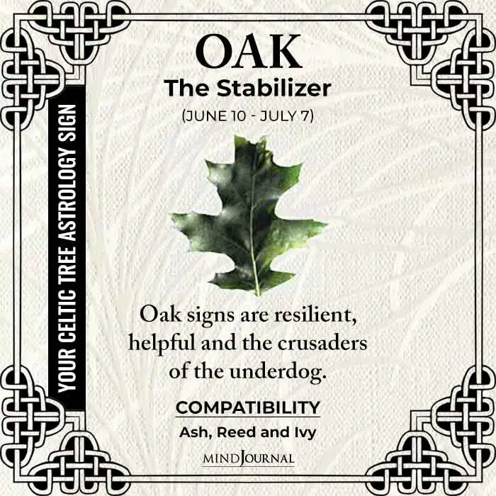 Oak The Stabilizer