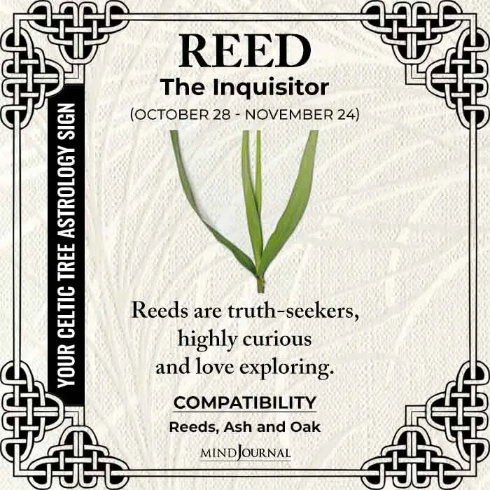 Reed The Inquisitor