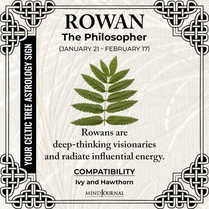 Rowan The Philosopher