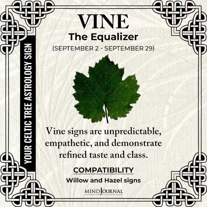 Vine The Equalizer