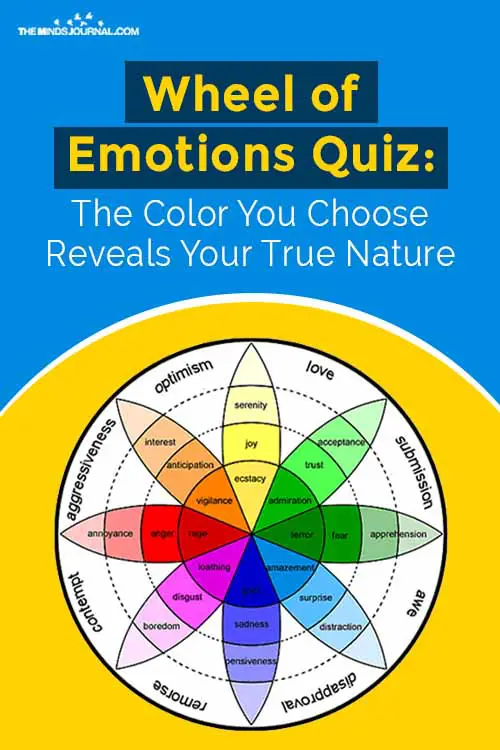 Wheel of Emotions Quiz pin