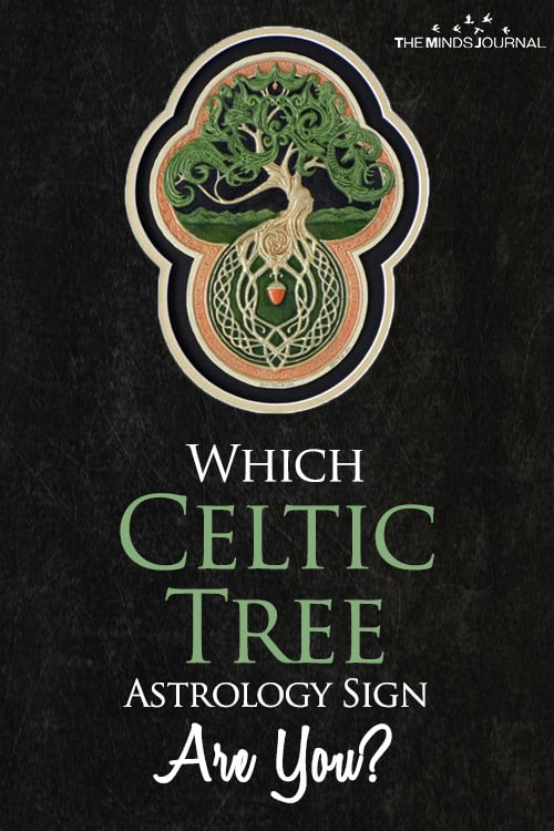 Which Celtic Tree Astrology Sign Are You?