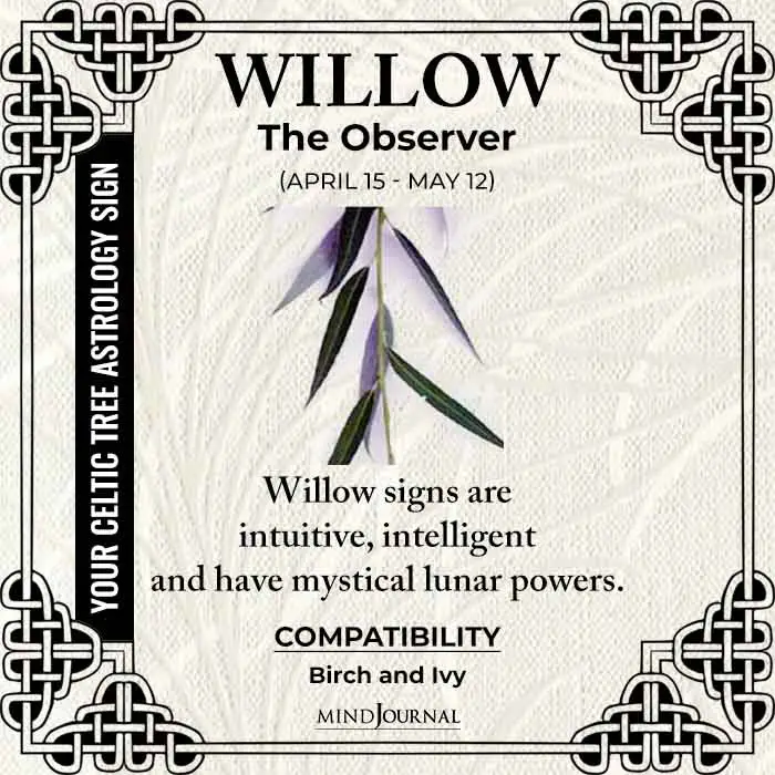 Willow The Observer