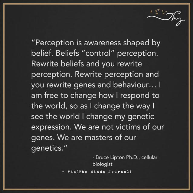 Perception is awareness shaped by belief