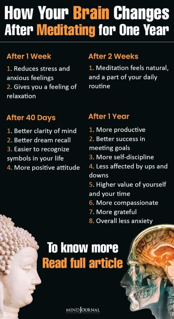 Brain Changes Meditating for One Year infographics