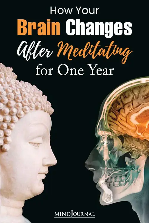 Brain Changes Meditating for One Year pin